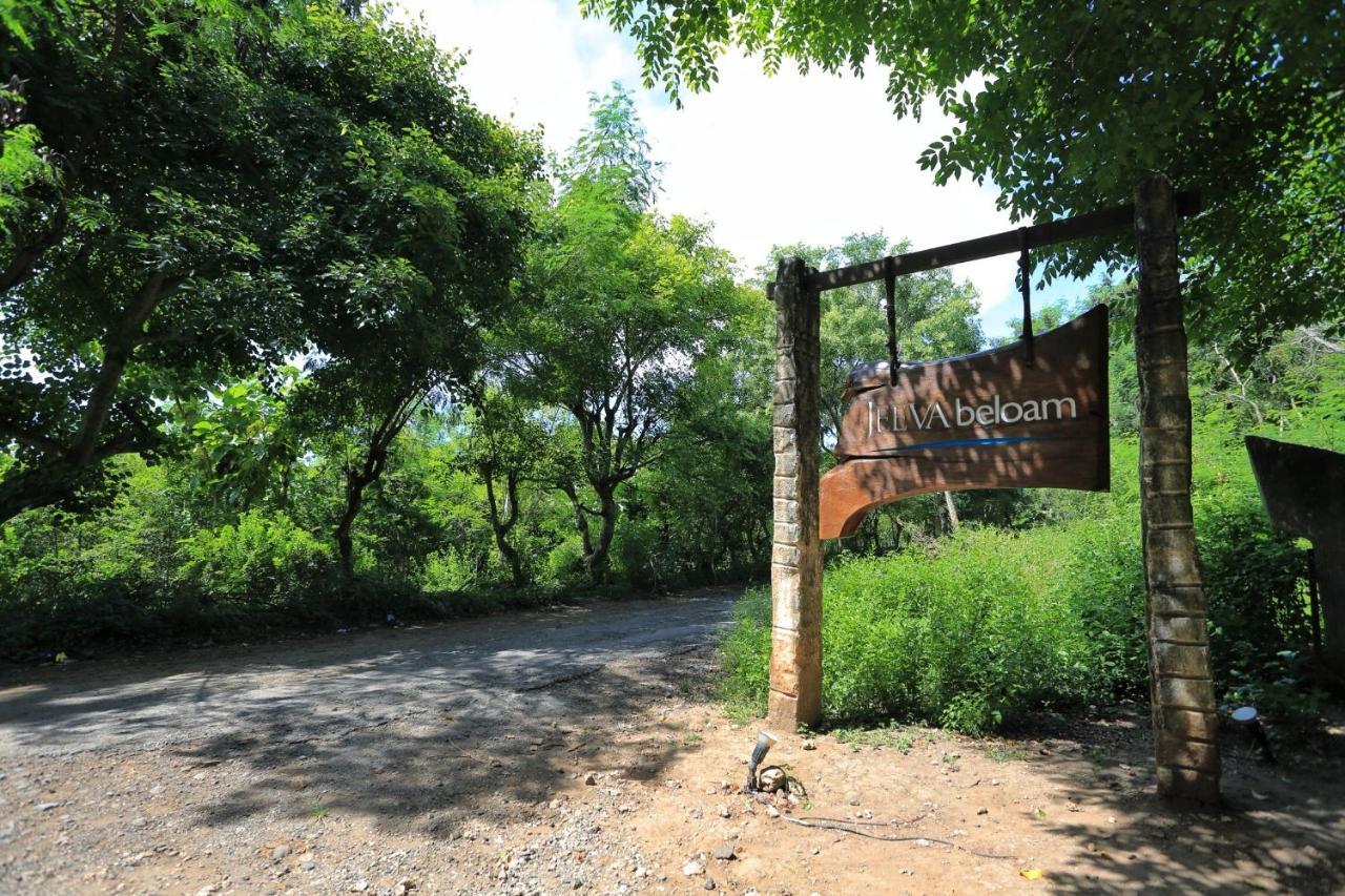 Jeeva Beloam Beach Camp Tanjung Ringgit Eksteriør bilde